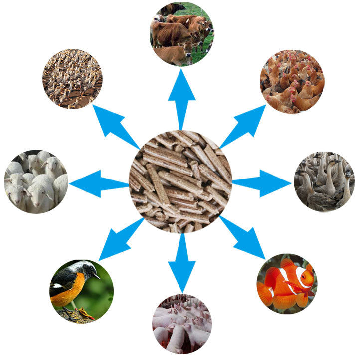 秸稈飼料顆粒機的應用 秸稈飼料顆粒機的應用