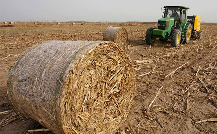 秸稈打捆進(jìn)行回收 秸稈打捆進(jìn)行回收