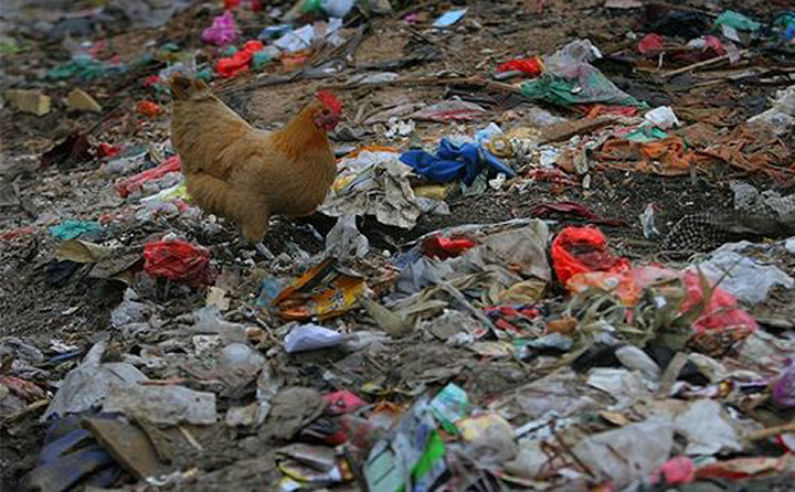 農(nóng)村垃圾無(wú)序堆放 農(nóng)村垃圾無(wú)序堆放