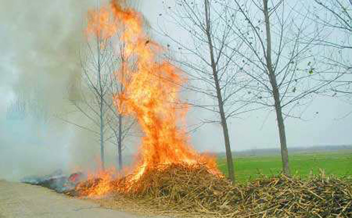 農民露天焚燒秸稈 農民露天焚燒秸稈