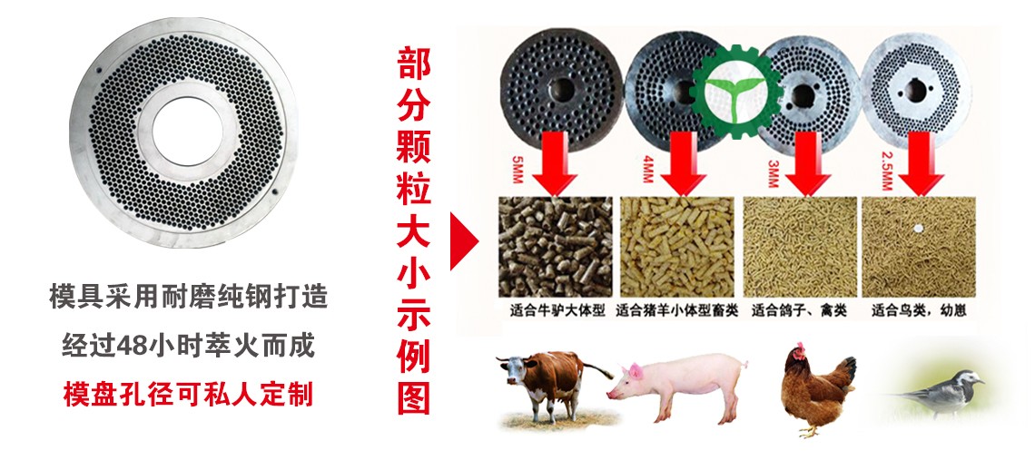 細節2.jpg 細節2.jpg