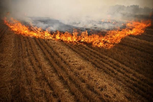 田間秸稈被農民一把火燒毀 田間秸稈被農民一把火燒毀
