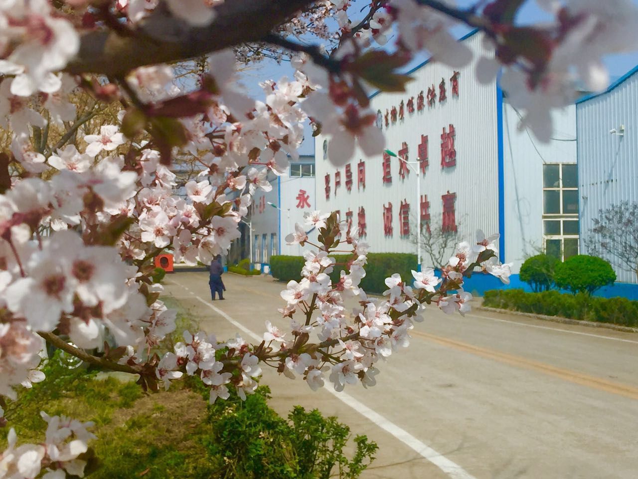 金格瑞廠區(qū) 金格瑞廠區(qū)