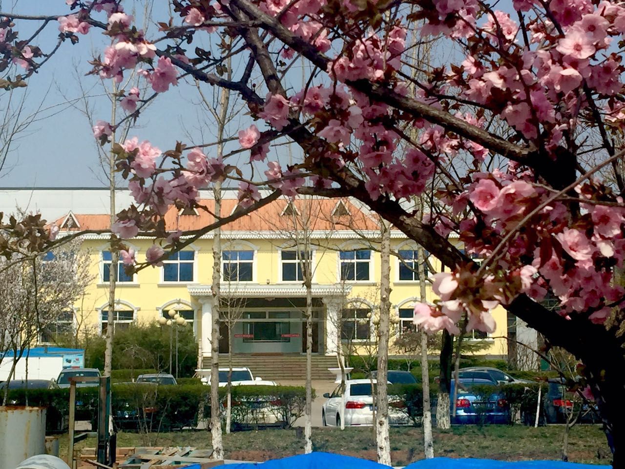 顆粒機(jī)生產(chǎn)廠家 顆粒機(jī)生產(chǎn)廠家