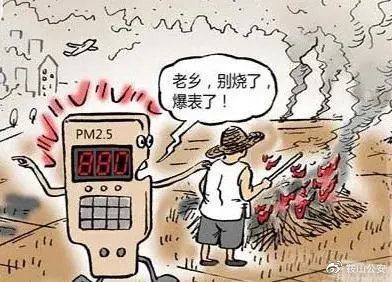 秸稈焚燒導致環(huán)境污染 秸稈焚燒導致環(huán)境污染