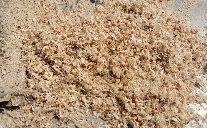 樟子松和雜木原料.jpg 樟子松和雜木原料.jpg