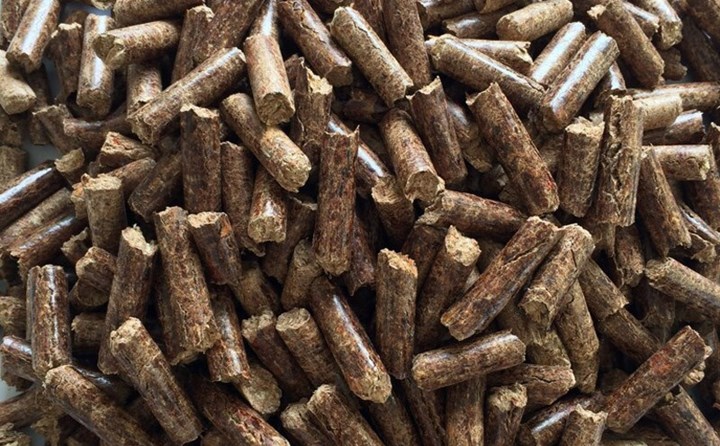 鋸末顆粒機(jī)生產(chǎn)的生物質(zhì)顆粒燃料.jpg 鋸末顆粒機(jī)生產(chǎn)的生物質(zhì)顆粒燃料.jpg